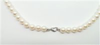 Collana Bliss Donna Perle Akoya in Perle Perla 20071610 - 20071610
